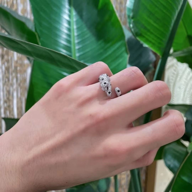 Ca*t1er rings